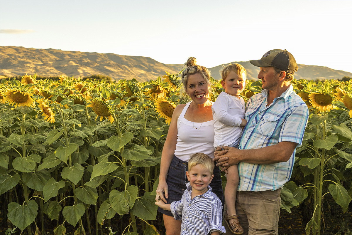 sunflower-day